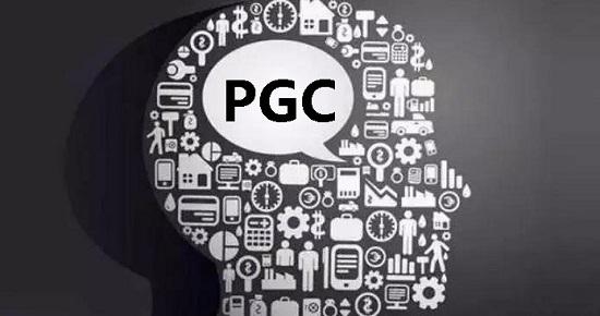 PGC(Professional Generated Content)